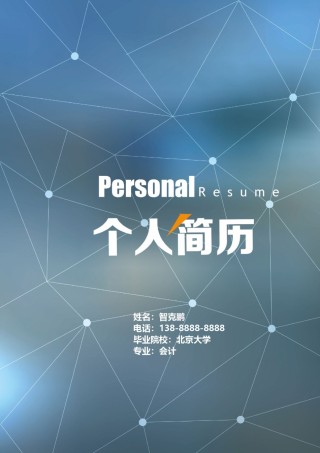 个人简历模板精选风格 (11).docx