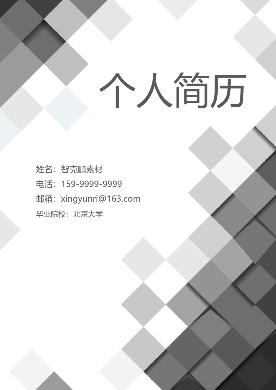 个人简历模板精选风格 (10).doc_第1页