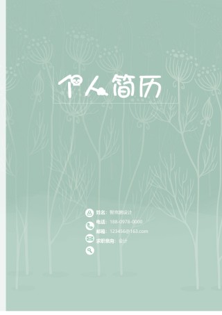 个人简历模板精选风格 (6).doc