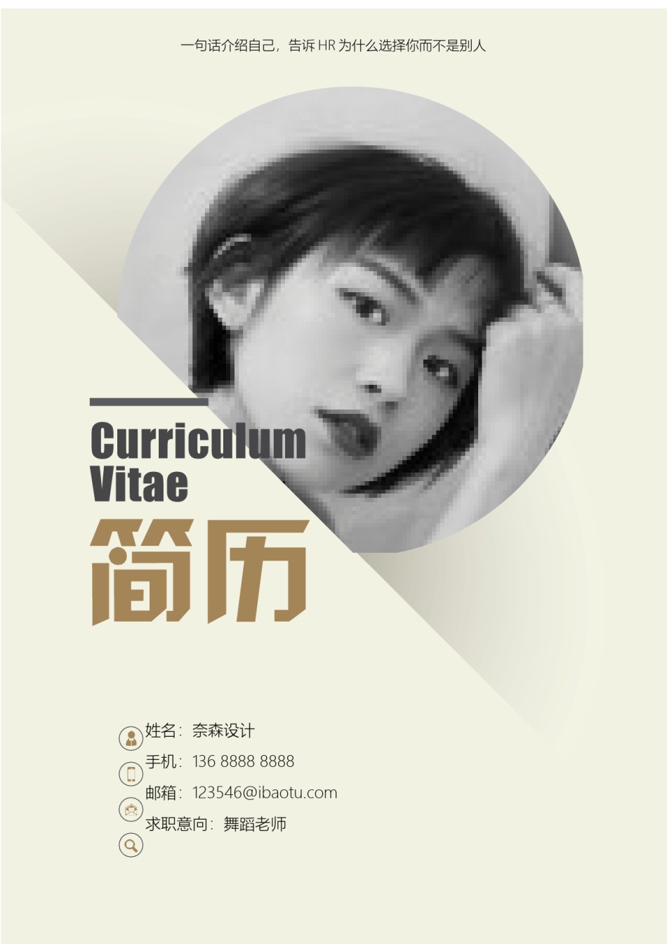 个人简历模板综合高端版 (25).docx_第1页