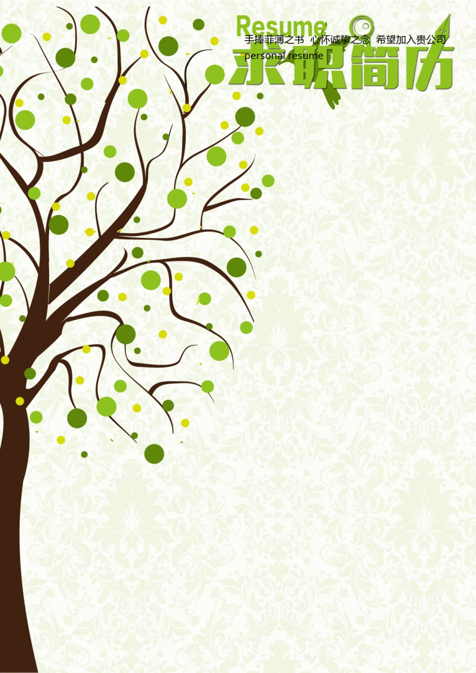 个人简历模板创意三页四页 (15).doc_第1页