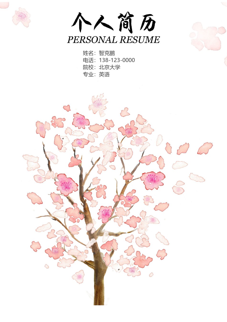 个人简历模板精选风格 (13).doc_第1页