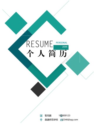个人简历模板精选风格 (9).doc