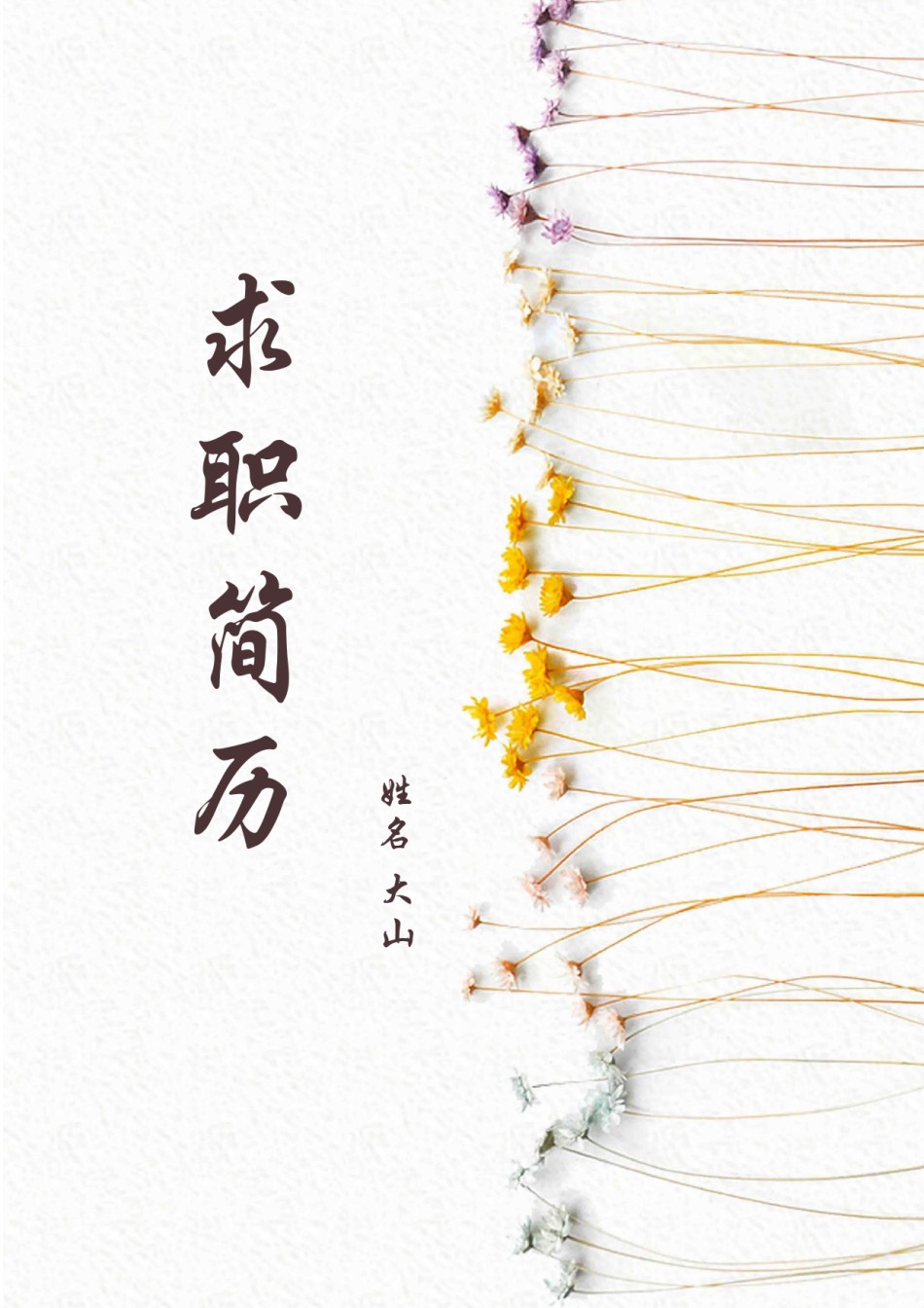 唯美淡雅简历模板单页 (7).docx_第1页