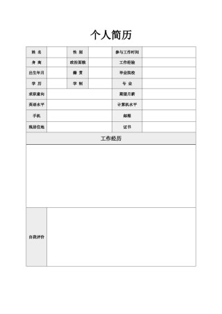 空白简历标准表格-28.doc