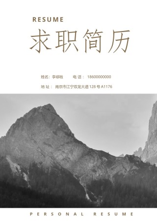 3页个人简历表格 (11).docx