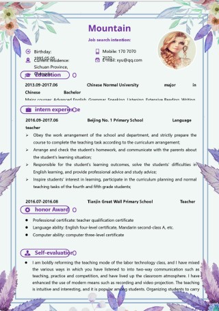 英文简历模板 (11).docx