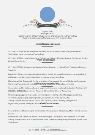 英文简历模板 (19).docx