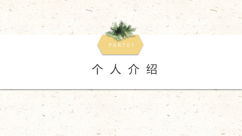 自我介绍52.pptx_第3页