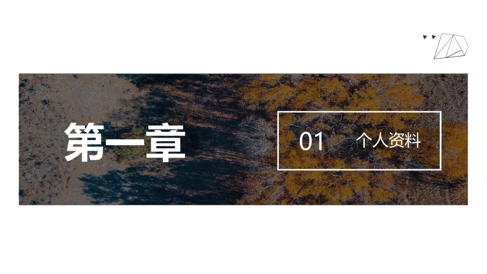 自我介绍76.pptx_第3页