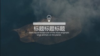 [018]扁平风格PPT模板.pptx