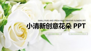 创意新颖PPT模板 (4).pptx