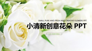 经典PPT模板 (12).pptx