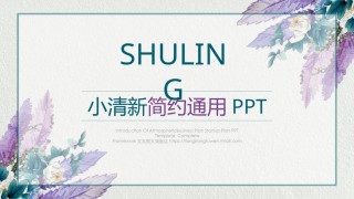 经典PPT模板 (13).pptx