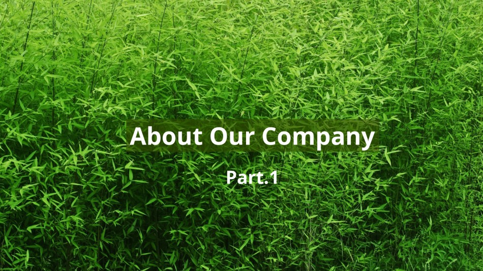 经典PPT模板 (1).ppt_第3页