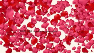 婚礼策划PPT模板 (1).pptx