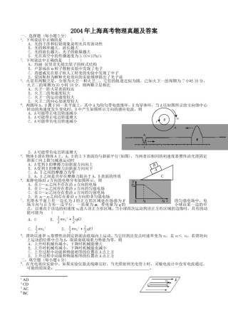 2004年上海高考物理真题及答案.doc