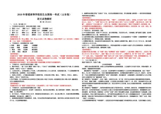 2010年高考真题 语文(山东卷)（含解析版）.doc