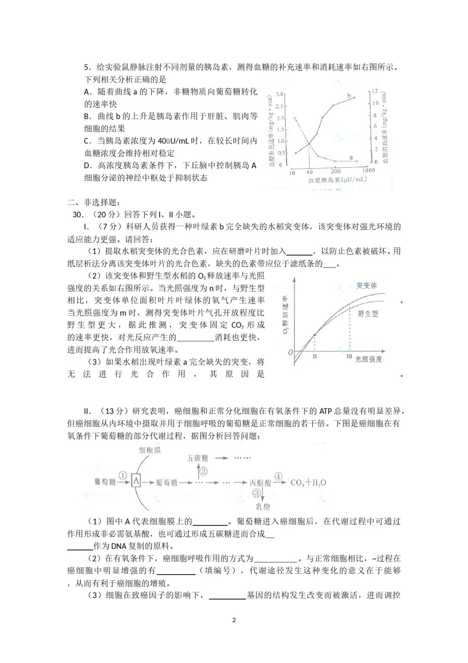 2012年四川省高考生物试卷及答案.doc_第2页