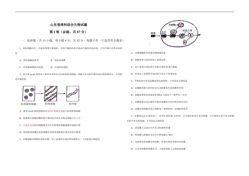 2013年高考真题 生物(山东卷)（原卷版）.pdf_第1页