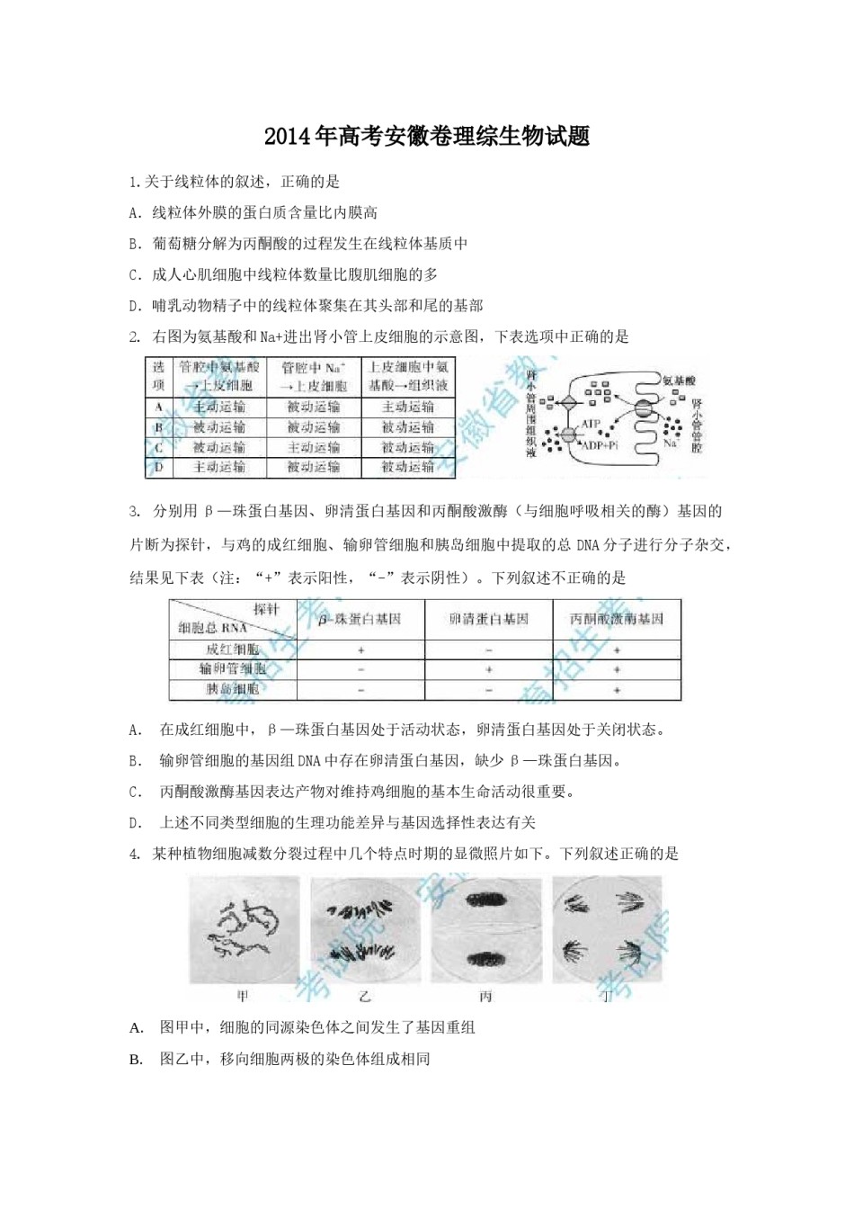 2014年安徽高考生物真题及答案.docx_第1页