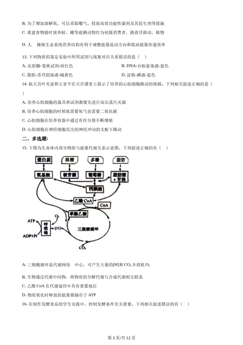 精品解析：2022年新教材江苏生物高考真题（原卷版）.docx_第3页