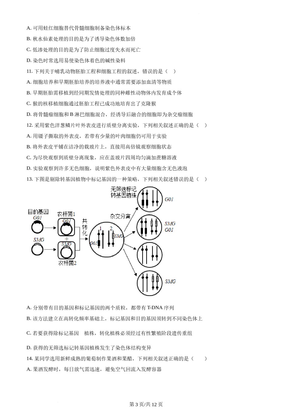 精品解析：2021年新高考江苏生物高考真题（原卷版）.docx_第2页