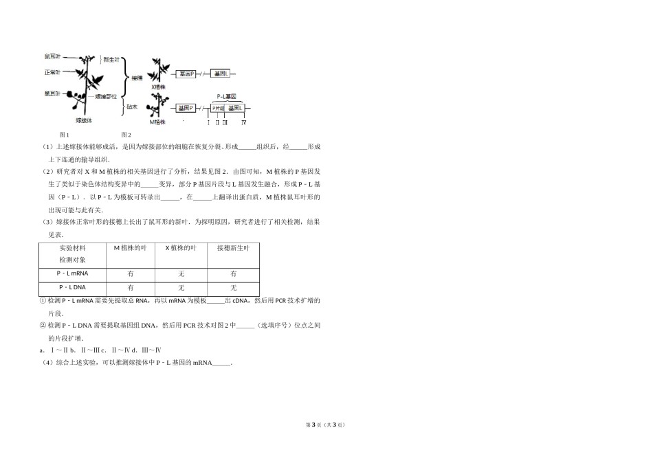 2016年北京市高考生物试卷（原卷版）.doc_第3页