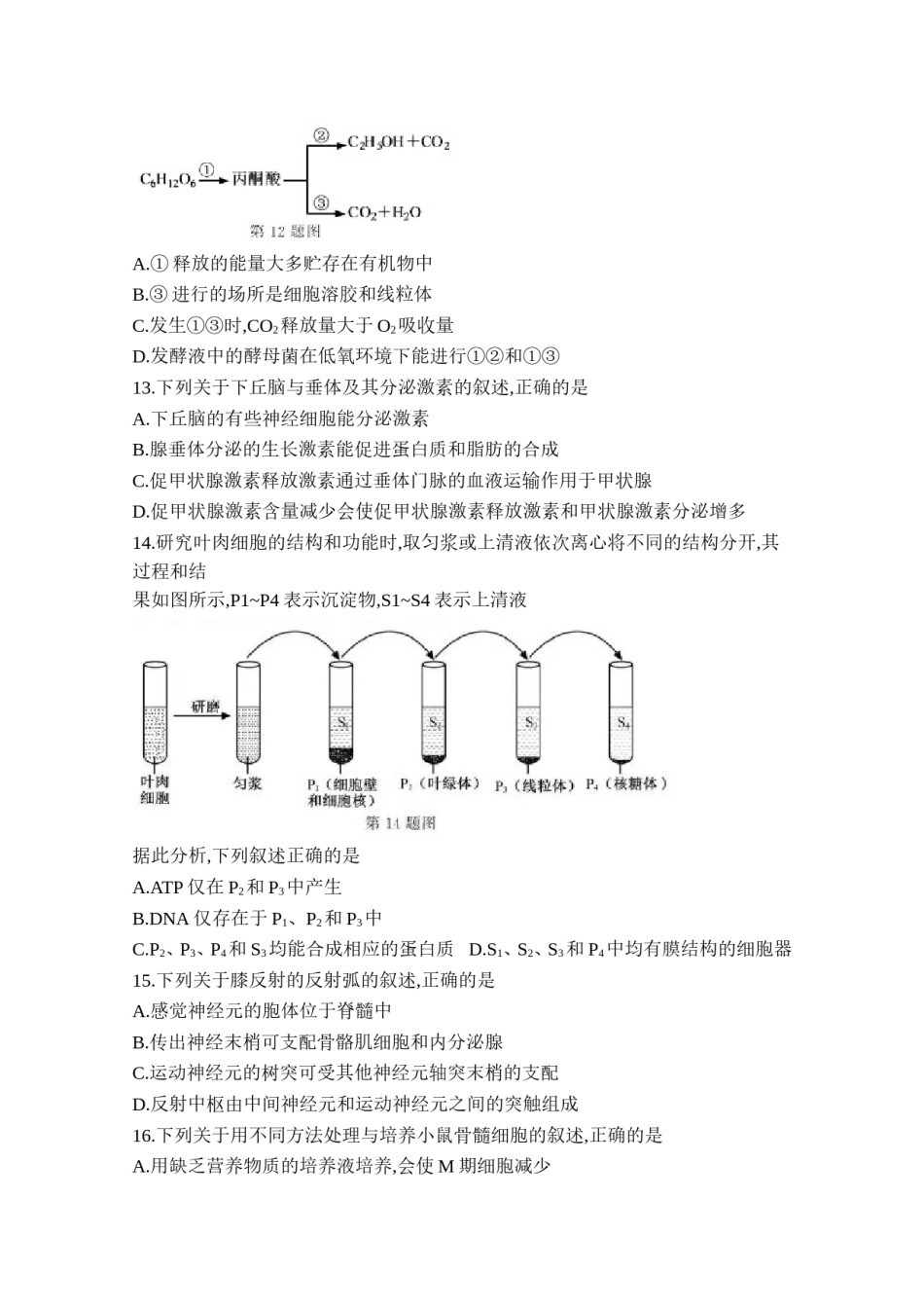 2020年浙江省高考生物【1月】（含解析版）.doc_第3页