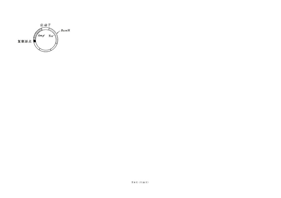 2016年全国统一高考生物试卷（新课标ⅰ）（含解析版）.pdf_第3页