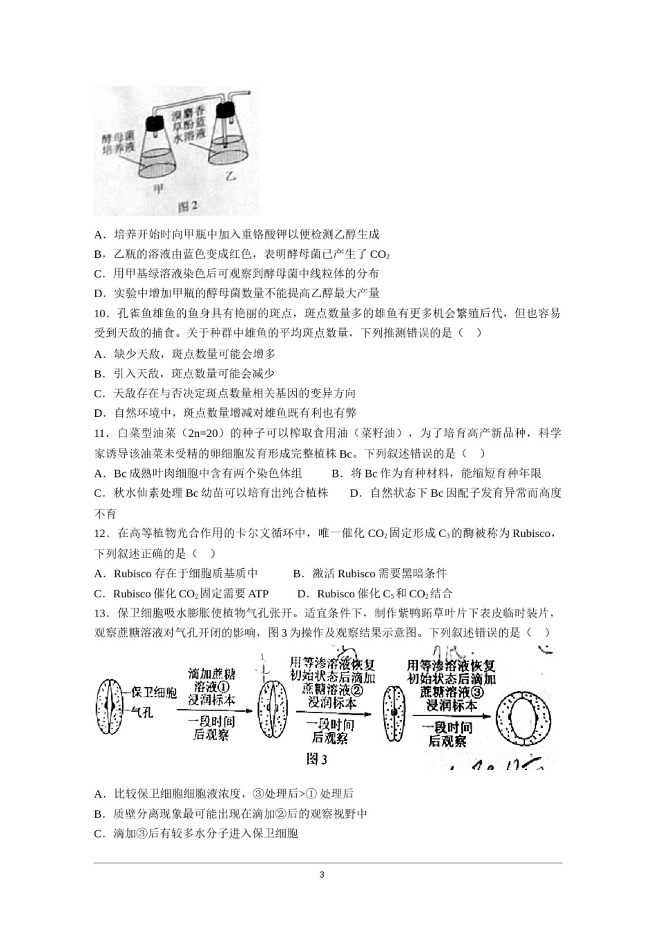 2021年高考真题—— 生物（广东卷） (原卷版）.doc_第3页