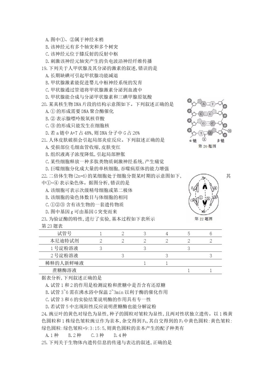 2017年浙江省高考生物【11月】（原卷版）.docx_第3页