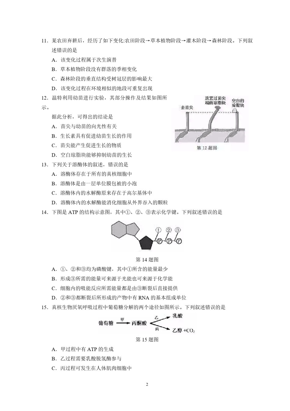 2019年浙江省高考生物【1月】（原卷版）.pdf_第2页