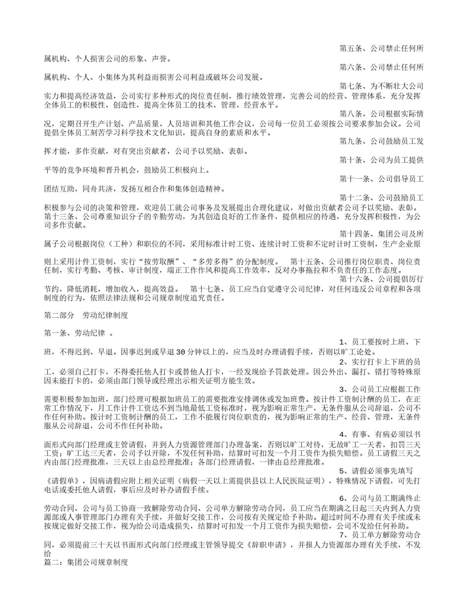 集团公司规章制度.doc_第2页