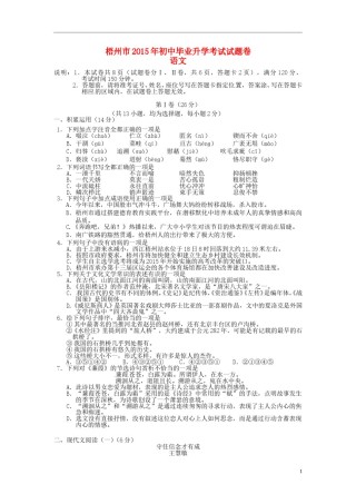 广西梧州市2015年中考语文真题试题（含答案）.doc