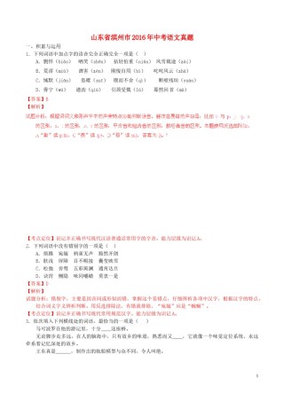 山东省滨州市2016年中考语文真题（含解析）.doc