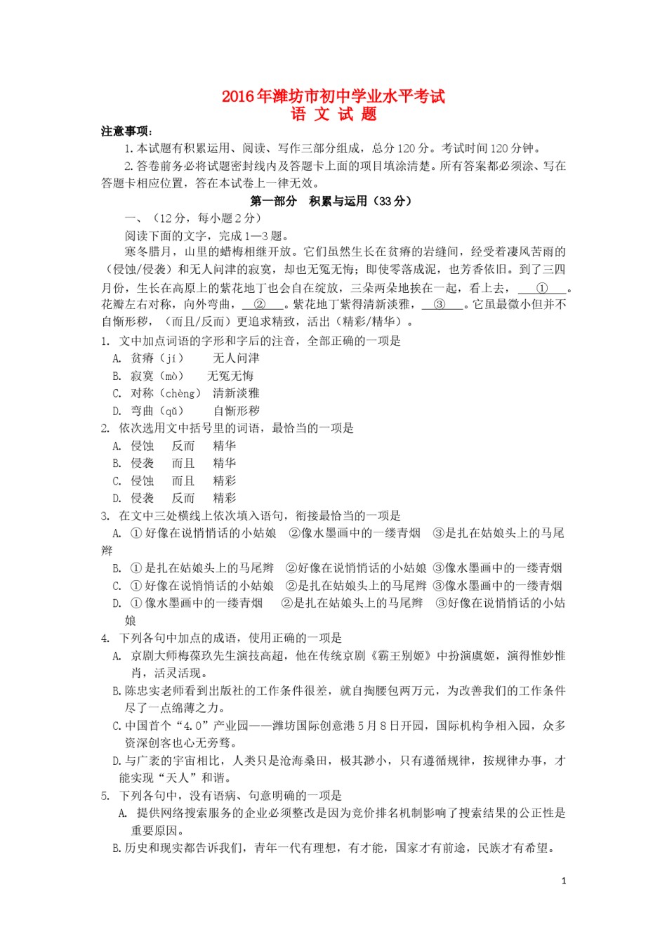 山东省潍坊市2016年中考语文真题试题（含答案）.doc_第1页