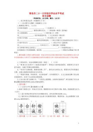 山东省青岛市2016年中考语文真题试题（含答案）.doc