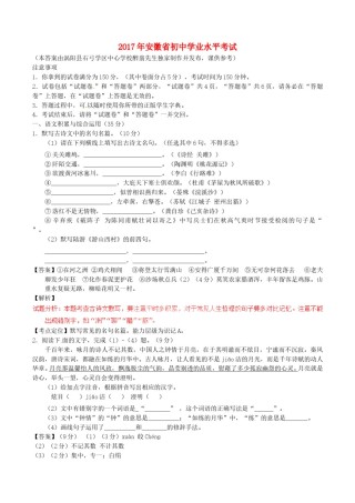 安徽省2017年中考语文真题试题（含解析）.doc