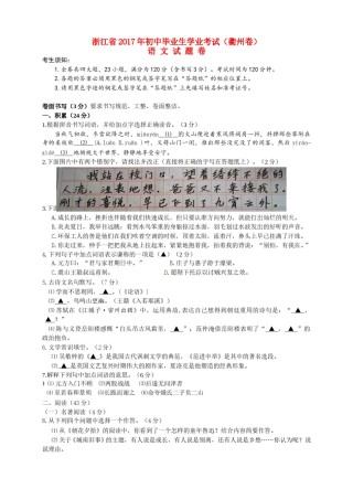 浙江省衢州市2017年中考语文真题试题（含答案）.doc