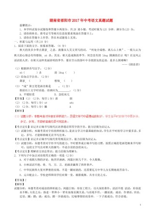 湖南省邵阳市2017年中考语文真题试题（含解析）.doc