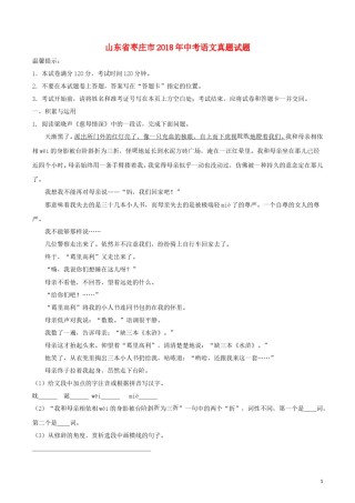 山东省枣庄市2018年中考语文真题试题（含解析）.doc