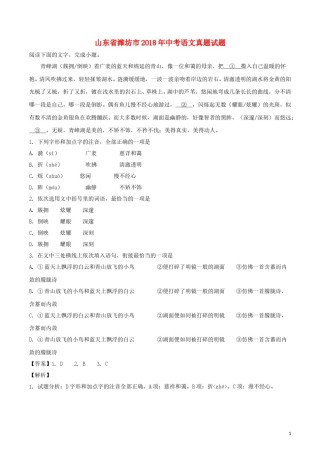 山东省潍坊市2018年中考语文真题试题（含解析）.doc