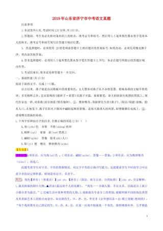 山东省济宁市2019年中考语文真题试题（含解析）.doc