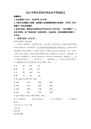 精品解析：山东省枣庄市2021年中考语文试题（解析版）.doc