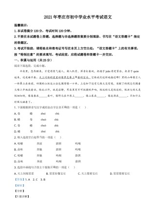 山东省枣庄市2021年中考语文试题（解析版）.doc