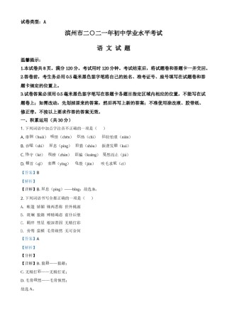 山东省滨州市2021年中考语文试题（解析版）.doc