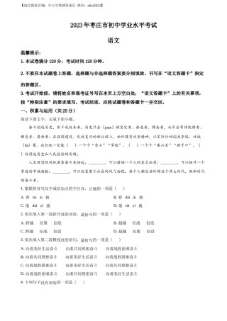 精品解析：2023年山东省枣庄市中考语文真题（原卷版）.docx