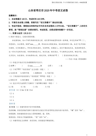 精品解析：山东省枣庄市2020年中考语文试题（解析版）.doc