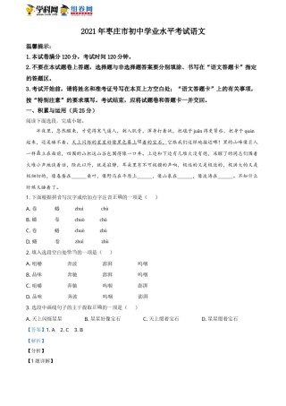 精品解析：山东省枣庄市2021年中考语文试题（解析版）.doc